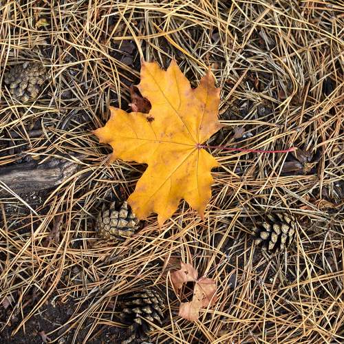 Photo #9628705