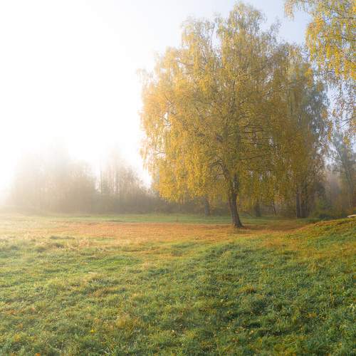 Photo #9628822