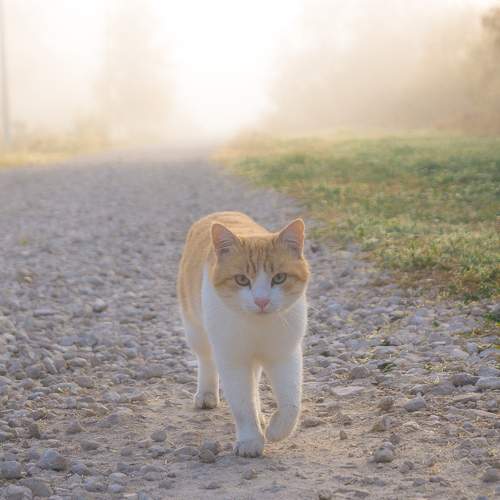 Photo #9628884