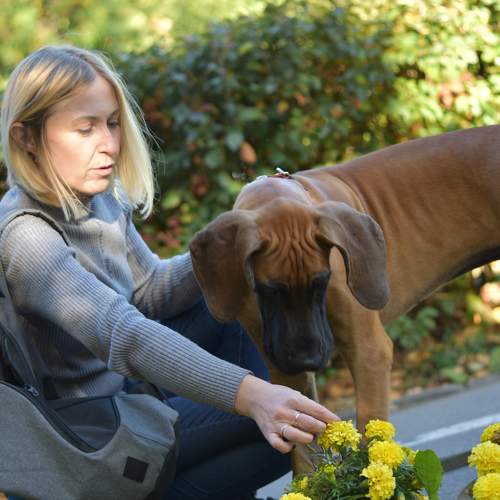 Photo #9629024
