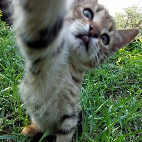 Photo #9629320