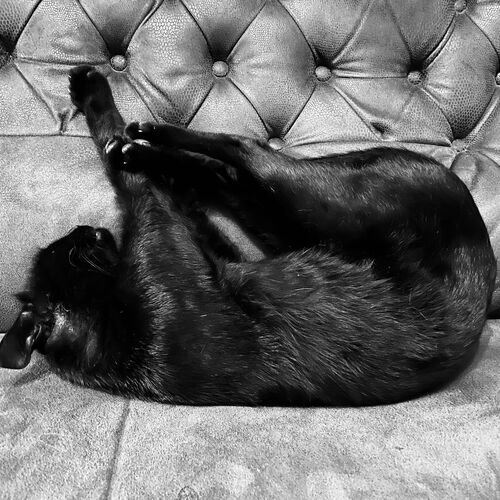 Photo #9629367