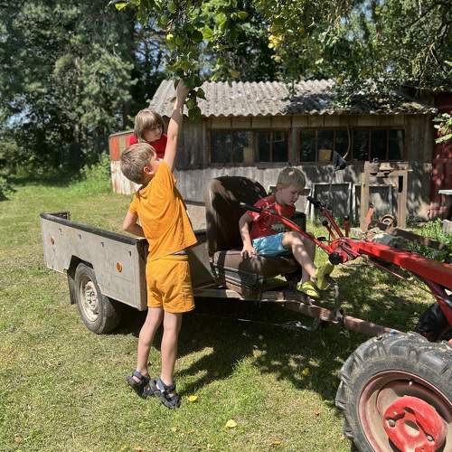 Photo #9629945