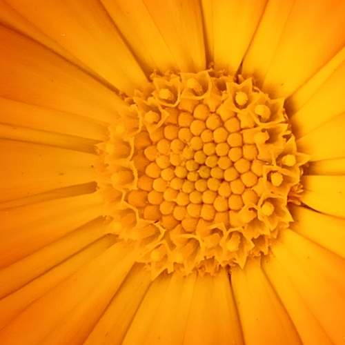 Photo #9629968
