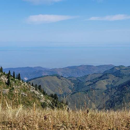 Photo #9630050