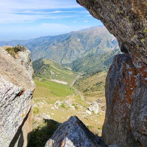 Photo #9630051