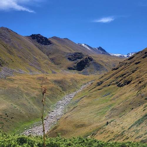Photo #9630052