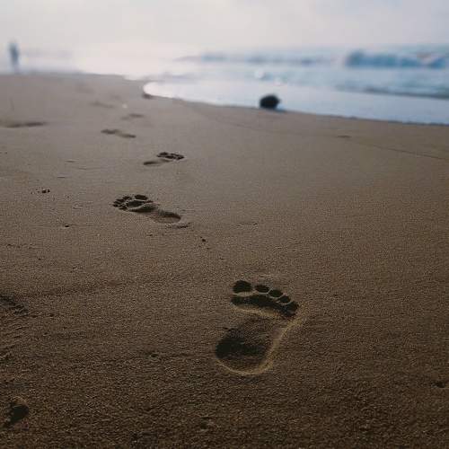 Photo #9630410