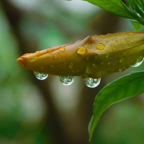 Photo #9630484