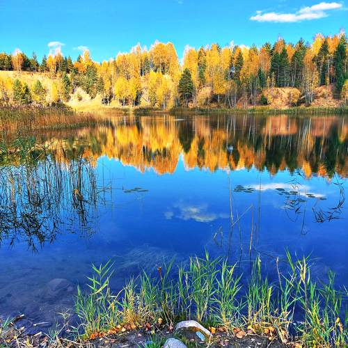 Photo #9630557