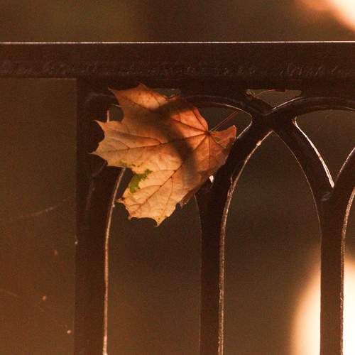 Photo #9630939