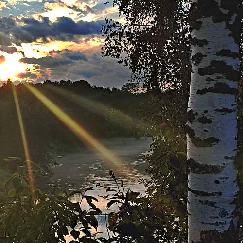 Photo #9630945