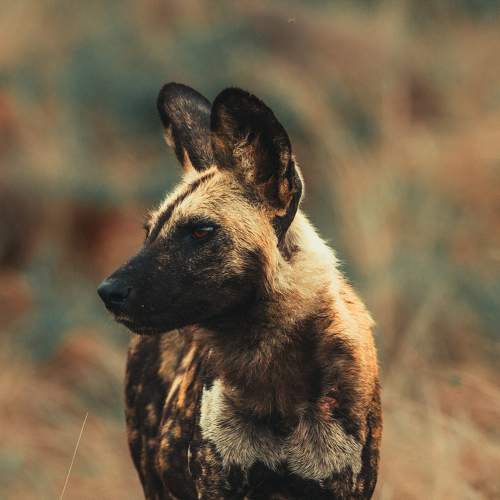 Photo #9630971