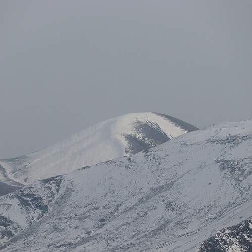 Photo #9631147