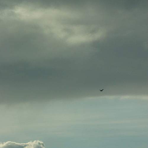 Photo #9631213