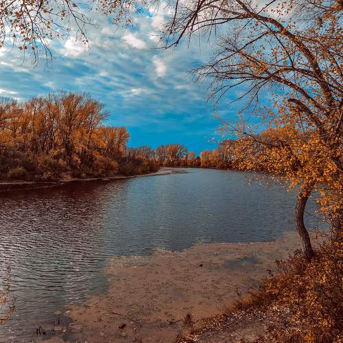 Photo #9631276