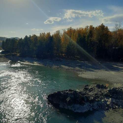 Photo #9631313