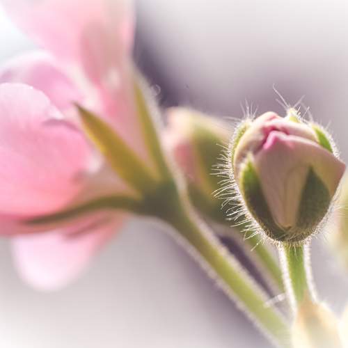 Photo #9631456