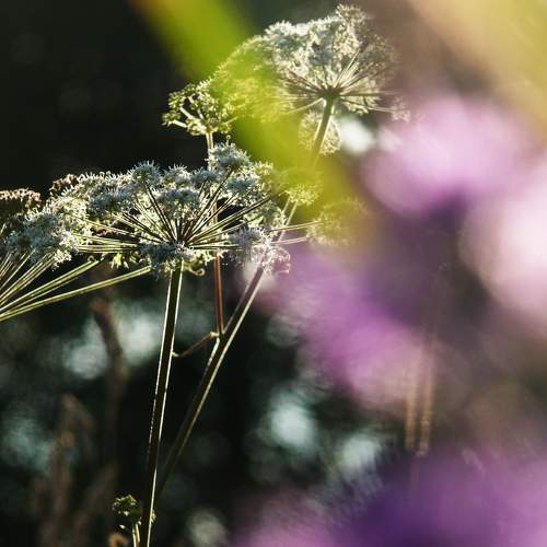 Photo #9631497