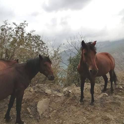 Photo #9631527