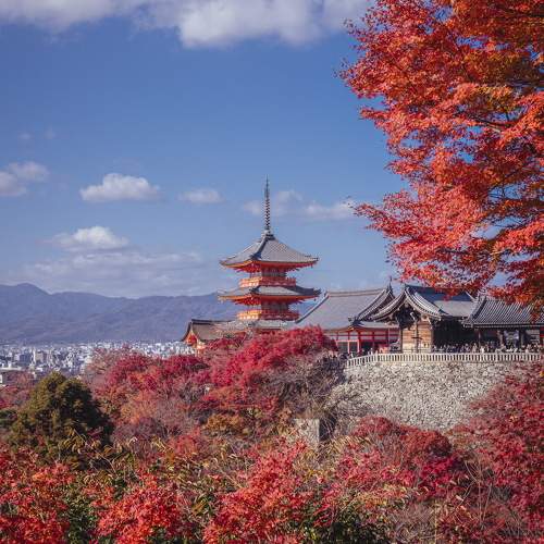 Photo #9631648