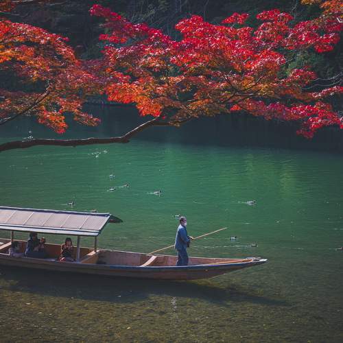 Photo #9631649