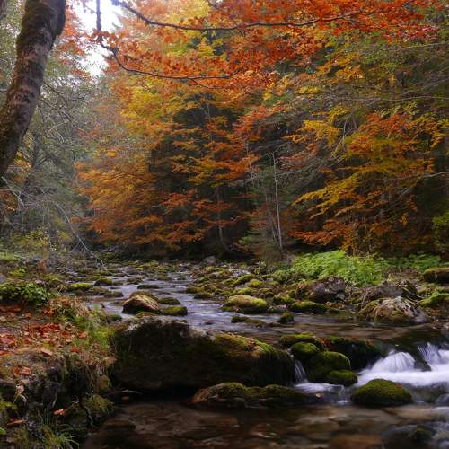 Photo #9631729