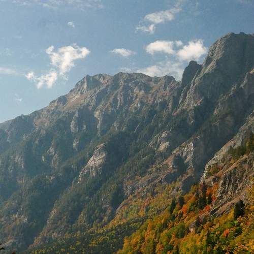 Photo #9631731