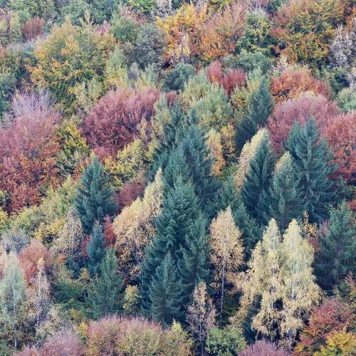 Photo #9631738
