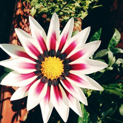 Photo #9631959
