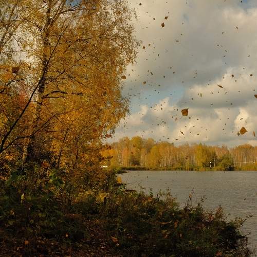 Photo #9632293