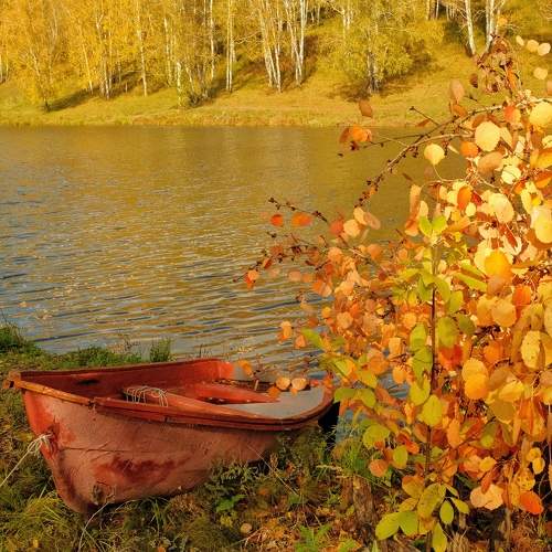 Photo #9632295