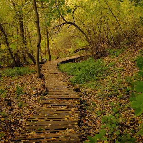 Photo #9632304