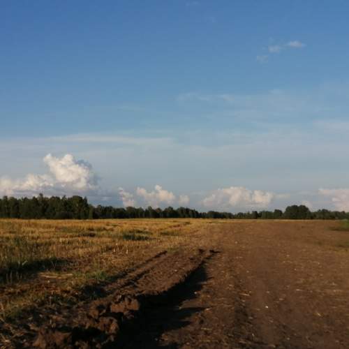 Photo #9632451