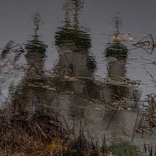 Photo #9632683