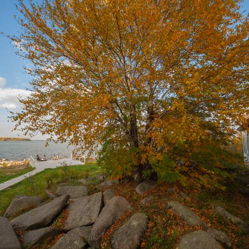 Photo #9632812