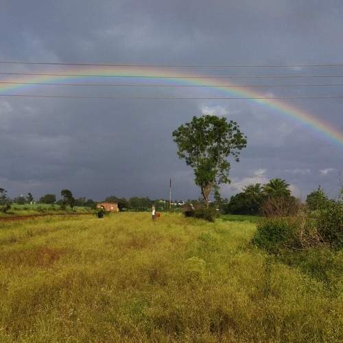 Photo #9633020
