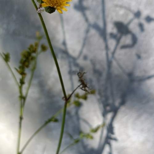 Photo #9633479