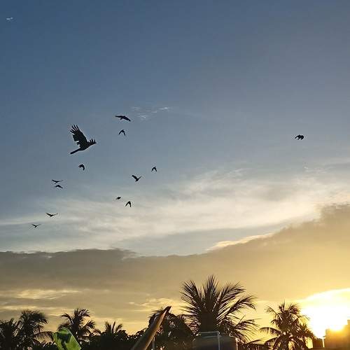 Photo #9633482