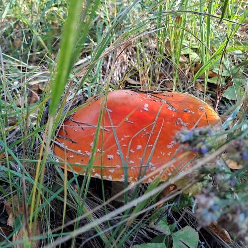 Photo #9633628