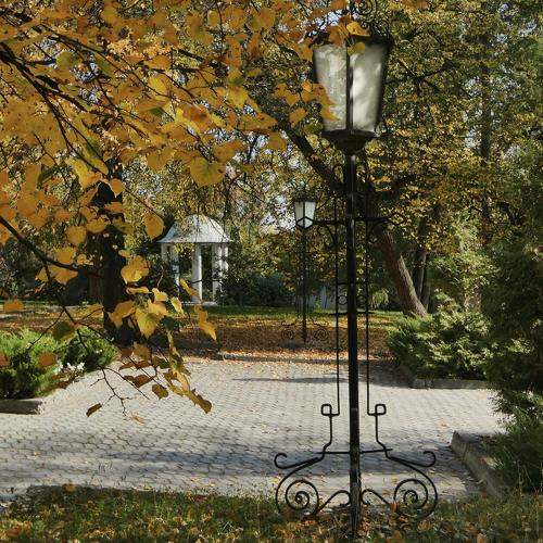 Photo #9634317