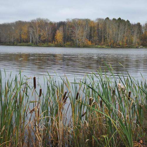 Photo #9634327