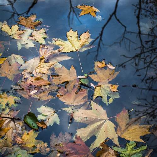 Photo #9634493