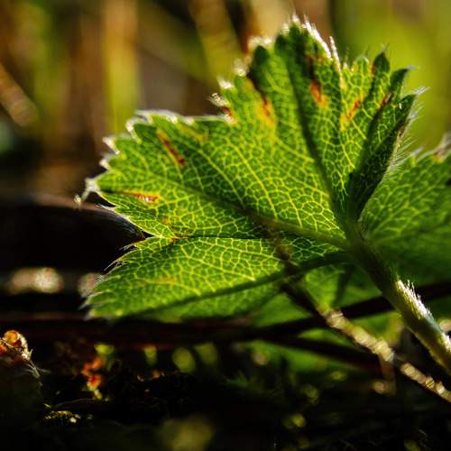 Photo #9634591