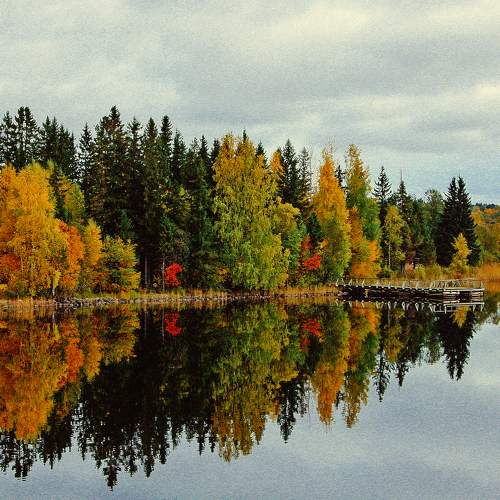 Photo #9635229