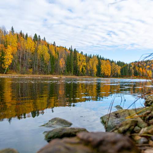 Photo #9635241