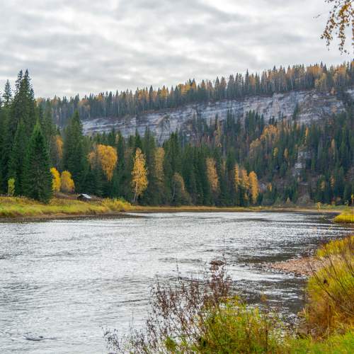 Photo #9635247