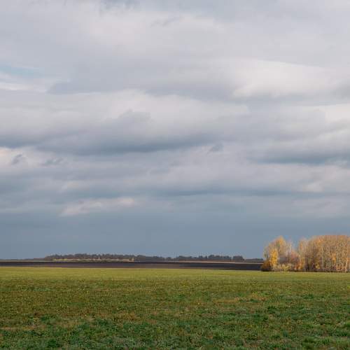 Photo #9635315