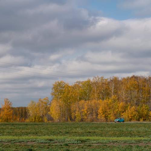 Photo #9635320