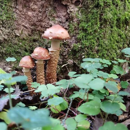 Photo #9635415